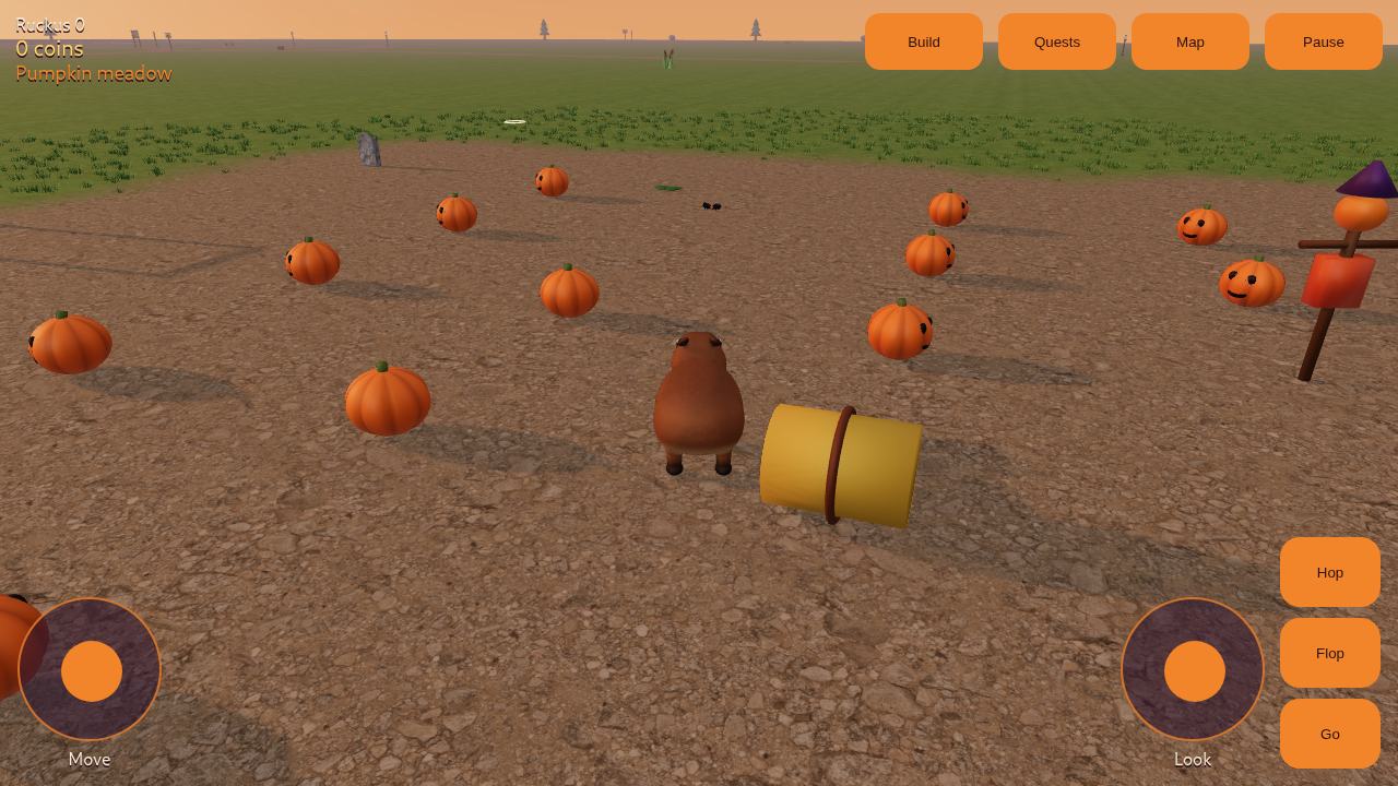 The pumpkin meadow east of home, with pumpkins on the ground